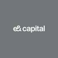 e& capital