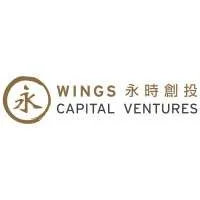 Wings Capital Ventures, VC Fund