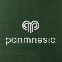Panmnesia