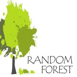 Random Forest Ltd