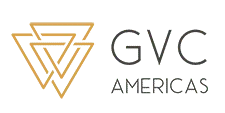 Golden Vision Capital Americas