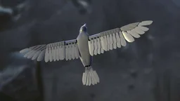 Silent Flyer