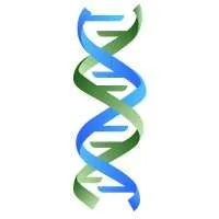 FYNDNA