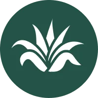 Agave Health
