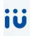 IU Mirai Fund