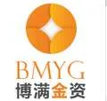 BMY Group