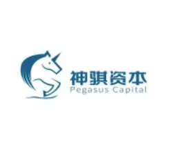 Shenqi Capital