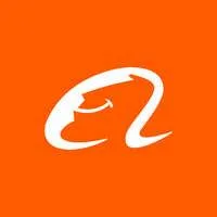Alibaba International Digital Commerce Group