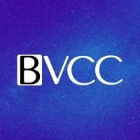 Black Venture Capital Consortium