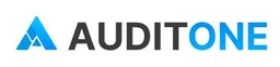 AuditOne