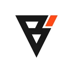 Bizsage