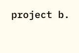Project B