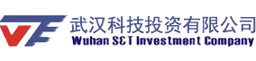 Wuhan S&T Investment Company