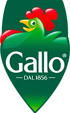 Riso Gallo, VC Fund