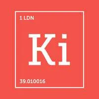Kinetic Investments