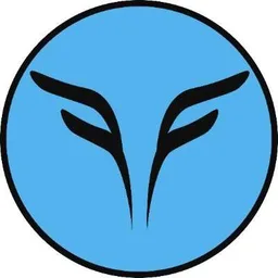 Flying Falcon