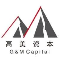 G&M Capital
