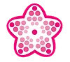 Blossom Energy