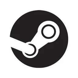 Steam, VC Fund