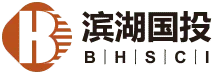 Binhu State Investment