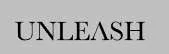 UNLEASH Capital Partners