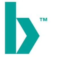 Bulk Infrastructure Group