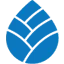 Roots of Impact