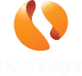 Deep-Insight