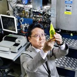 Yasunori Furukawa