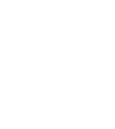 PERSOL PROCESS & TECHNOLOGY