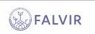 Falvir