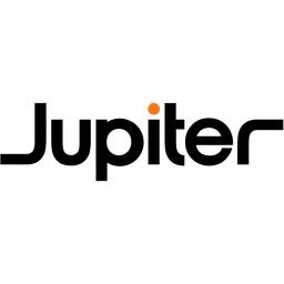 Jupiter Endovascular