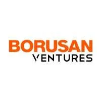 Borusan Ventures