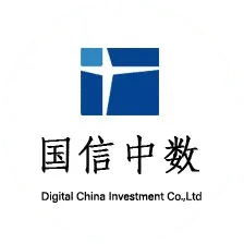 Digital China Investment