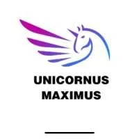 Unicornus Maximus, VC Fund