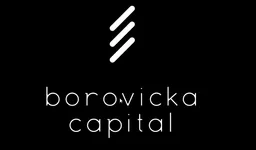 Borovicka Capital