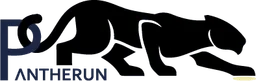 Pantherun Technologies