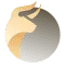 Bisonswap Labs