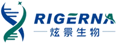 Rigerna