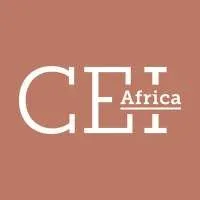 Clean Energy and Energy Inclusion for Africa, VC Fund