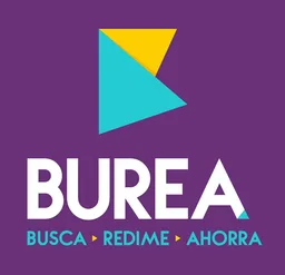 BUREA (Better Ideas Holdings)