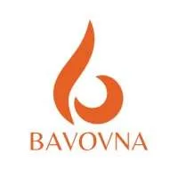 Bavovna AI