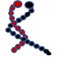 Pep2Tango Therapeutics