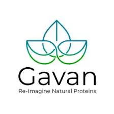 Gavan