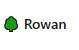 Rowan