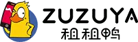 Starlink Future