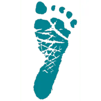 Inception Fertility, VC Fund