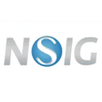 National Silicon Industry Group