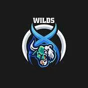 0xWilds
