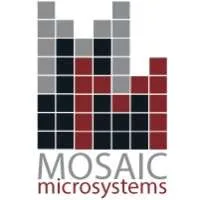 Mosaic Microsystems